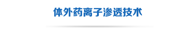 体外